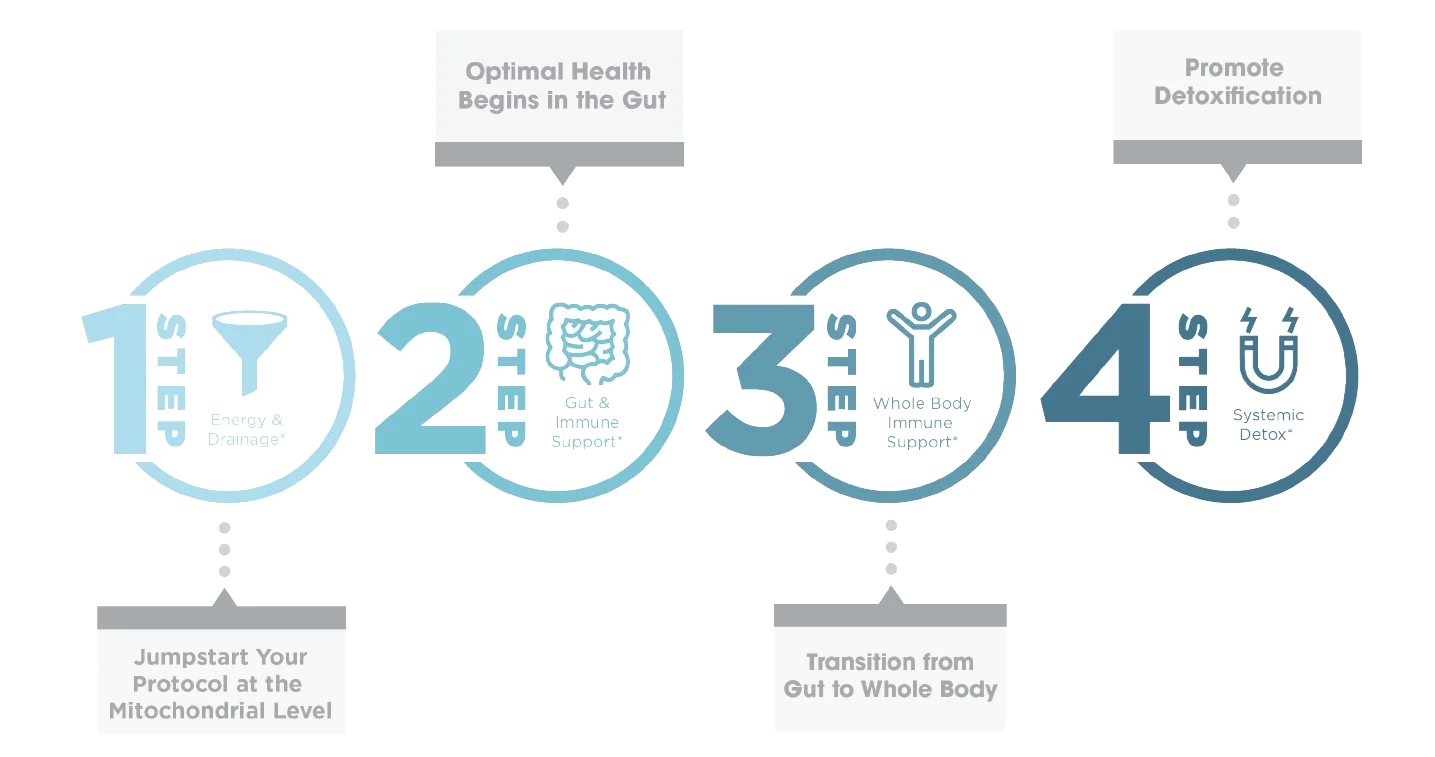 Detox program steps